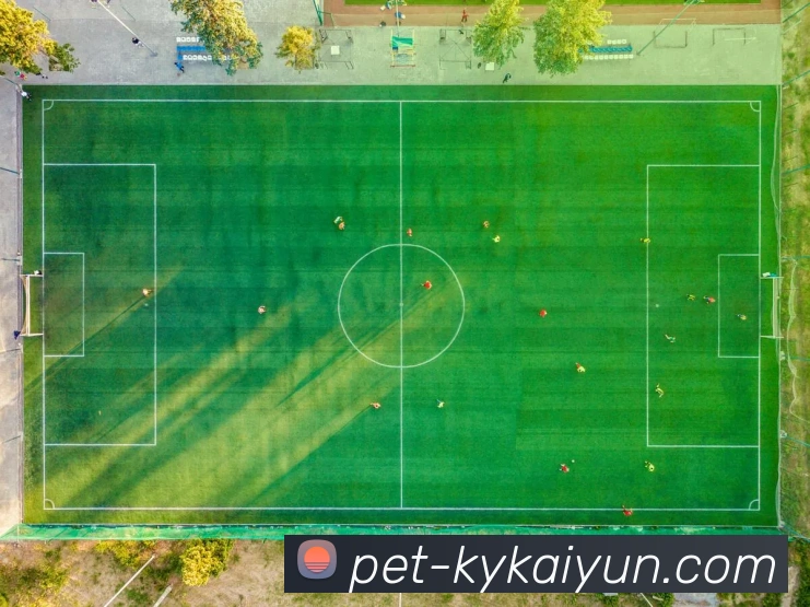 开云官方网站发展历程